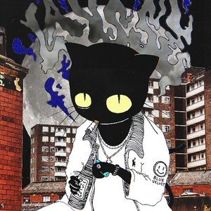 Изображение для 'lausse the cat'